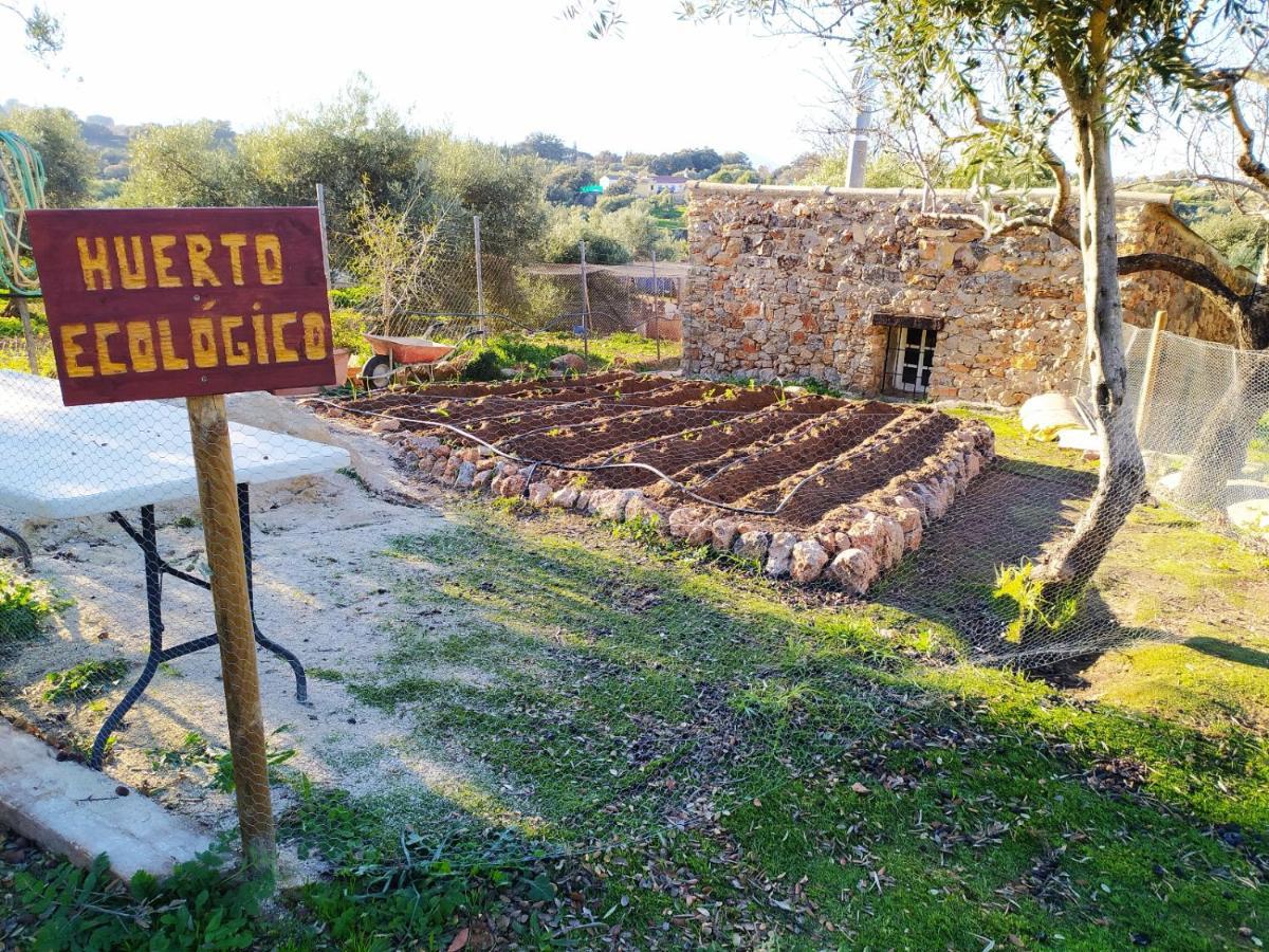 Casa Rural Bellavista Ronda Exteriér fotografie