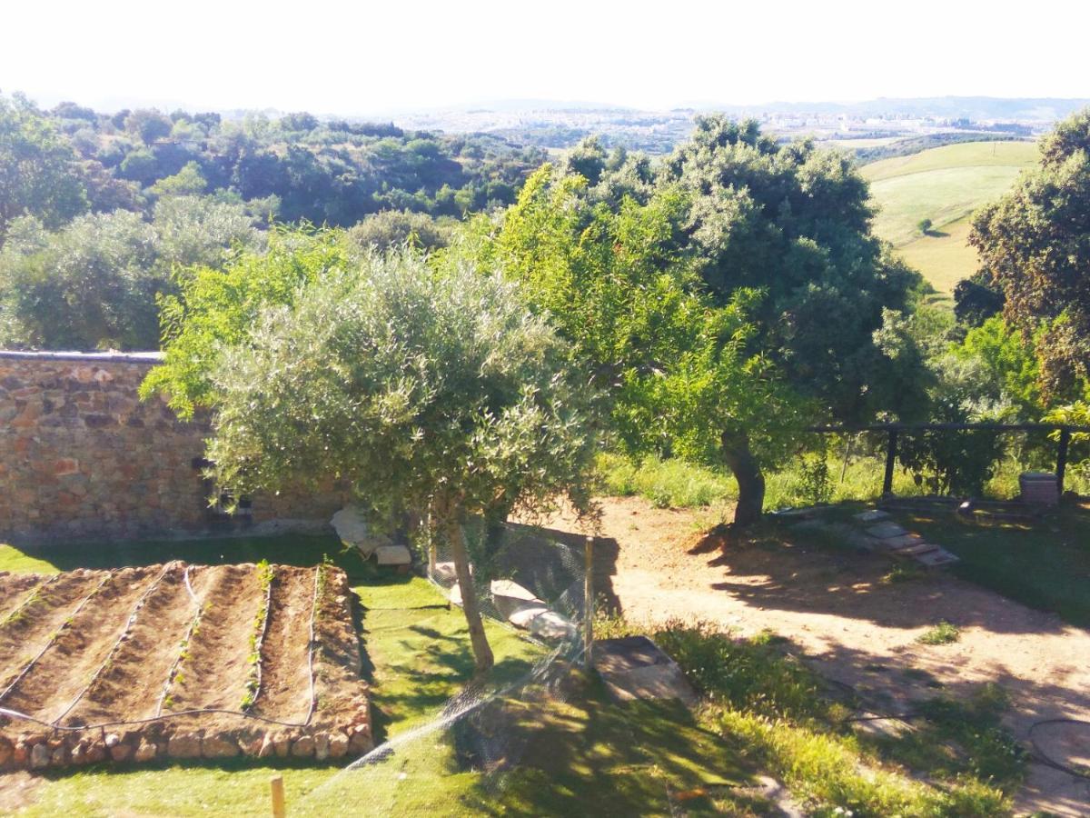 Casa Rural Bellavista Ronda Exteriér fotografie