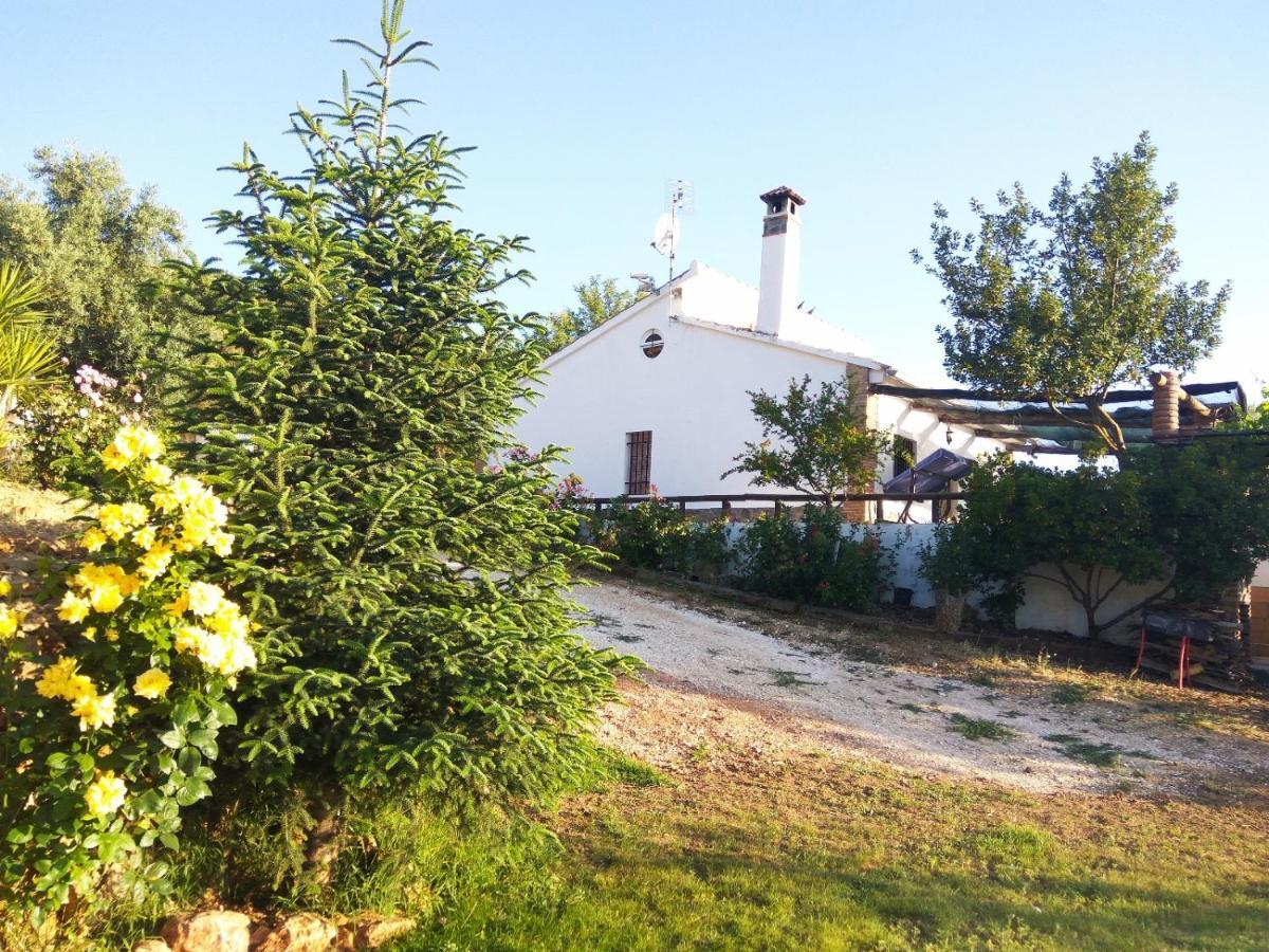 Casa Rural Bellavista Ronda Exteriér fotografie