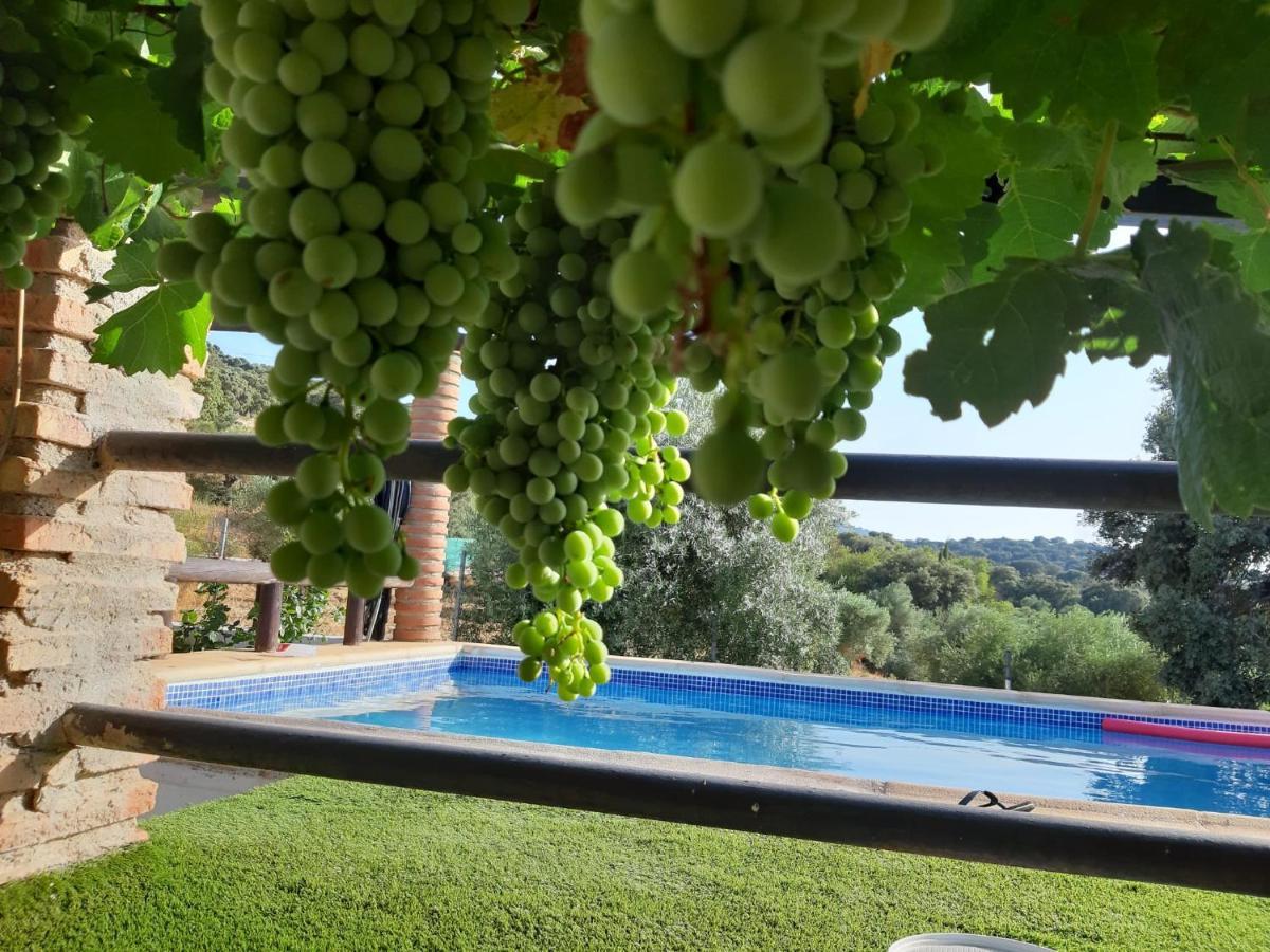 Casa Rural Bellavista Ronda Exteriér fotografie